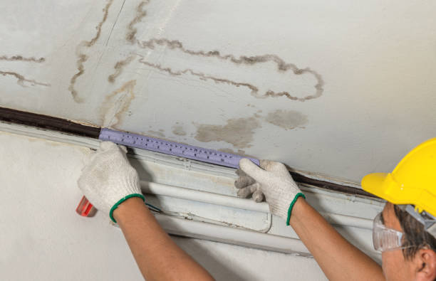 Reliable Water Damage contractor in Mount Olive, AL by Water Damage Irwin